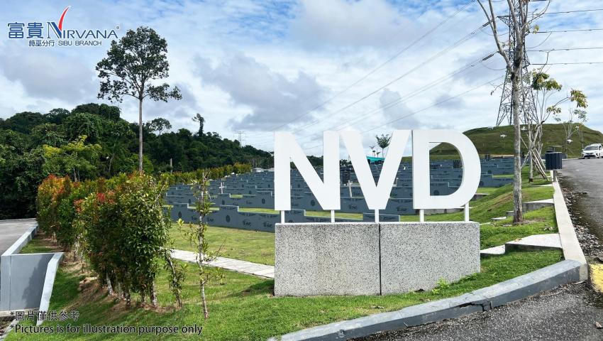 NV-D